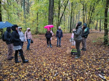 Relacja zdjęciowa z Dnia Grzyba 2025, 